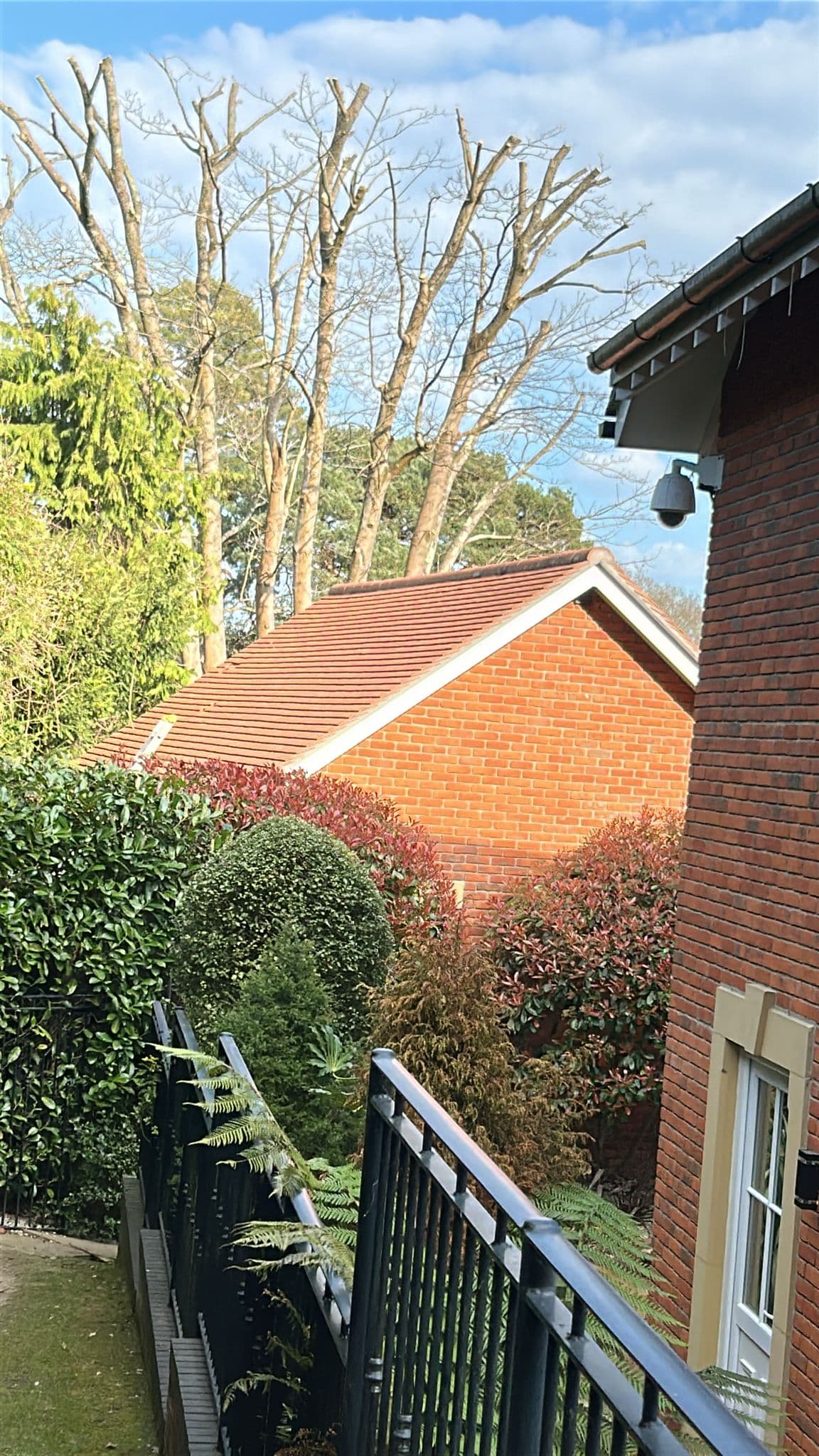 Clean tiled roof after low pressure soft washing. A Star Decorators
