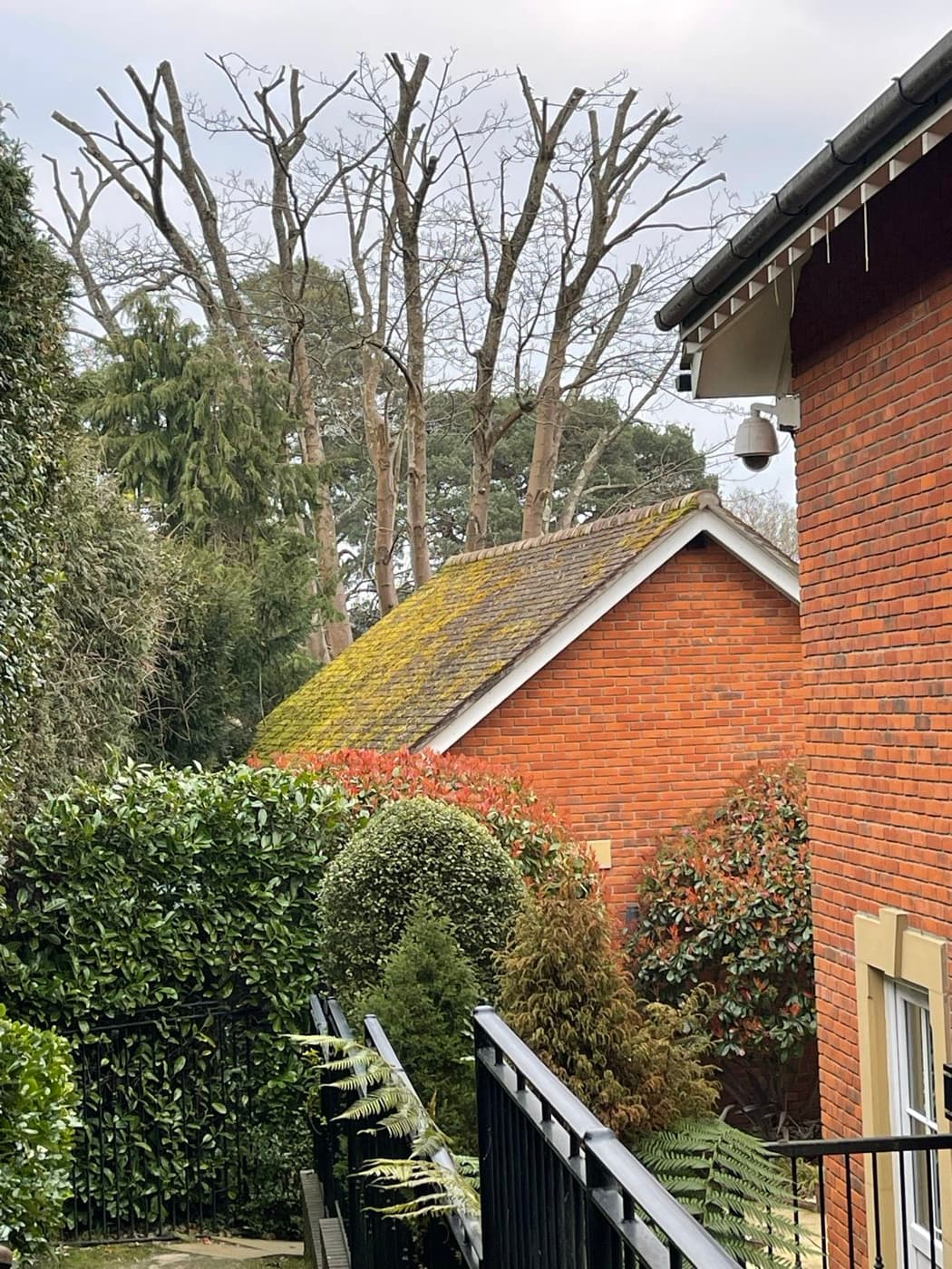 Close up of clean roof tiles after soft washing, free of moss and algae. A Star Decorators