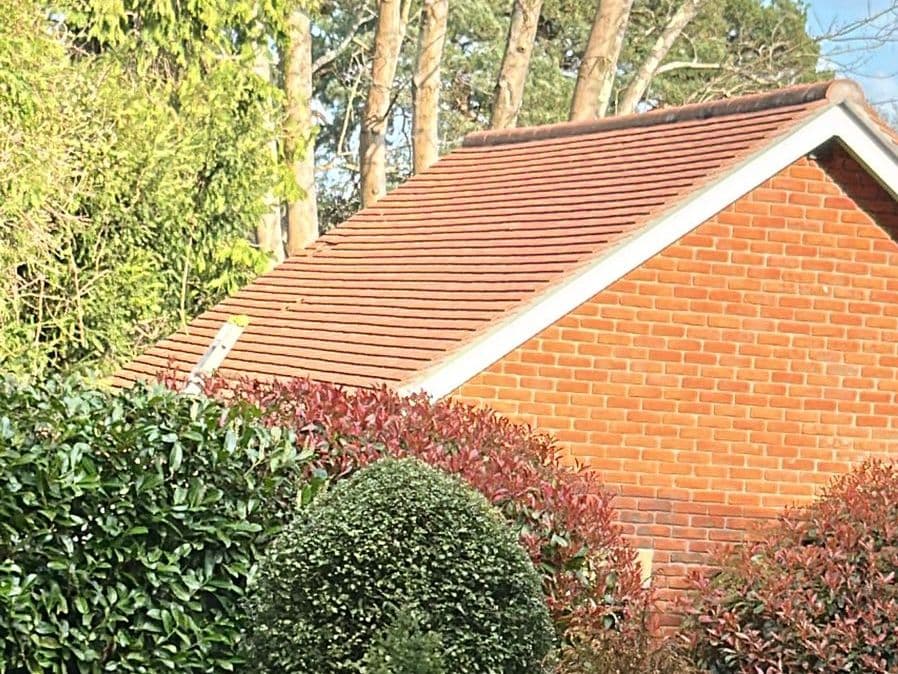 Tiled roof cleaned after soft washing
